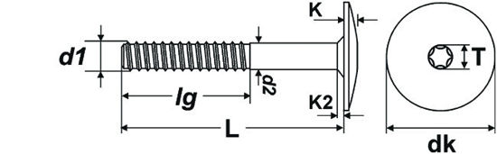 Bild von Treppenschr. PTS-H mit Flachrundkopf Torx