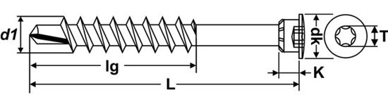 Bild von Zierleistenschraube mit Spezialkopf Tx
