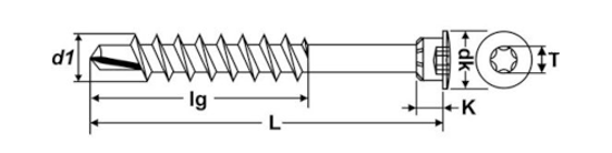 Bild von Zierleistenschraube mit Spezialkopf Tx