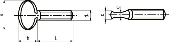 Bild von Lappenschrauben